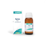 Boiron Gemmo Fig Tree Buds Herbal Supplement Liquid, 2 fl oz