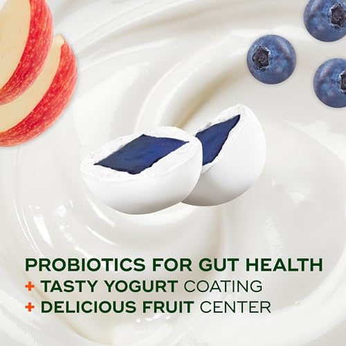Align Yogurt Coated Probiotic Fruit Bites Blueberry, 21 ct