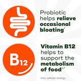 Align Bloating & Food Digestion Gummies - 60ct