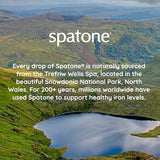 Spatone Liquid Iron Supplement plus Vitamin C Apple Flavor 25ml x 28 Sachets