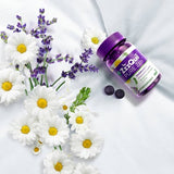 Vicks Kidz Natural Berry Sleep Gummies