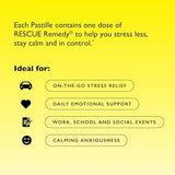 Bach Mixed Berry Rescue Pastilles