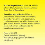 Bach Mixed Berry Rescue Pastilles