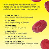 Bach, Rescue Sleep Pastilles, Black Currant, 35 Pastilles, 1.7 Oz