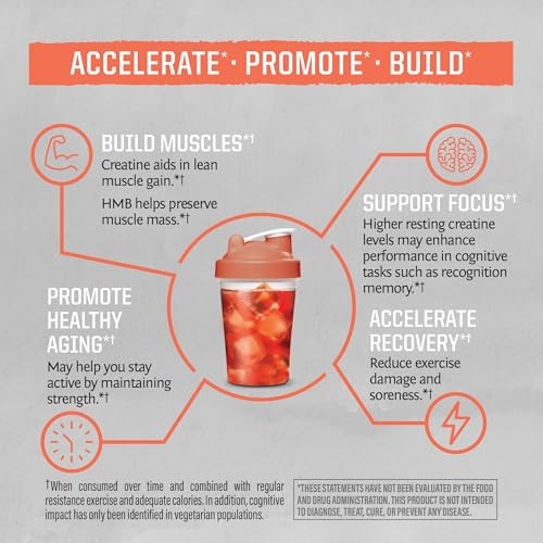 Sunwarrior Active Hmb + Creatine Unflavored Vitamin Powder 8.46 Oz