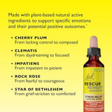 Bach, Rescue Remedy® Dropper, Stress Relief, Orange & Mango, 0.7 Fl Oz (20 Ml)