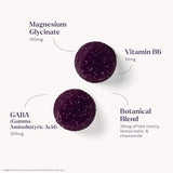 Natrol Sleep & Restore Gummies 60 CT Pack of 1