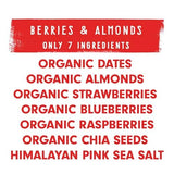 Jonesbar Organic Fruit & Nut Bar, Berries & Almond, 1.7 Oz
