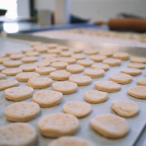 Manso Bakery Alfajor Sandwich Cookie Bite Filled with Dulce De Leche and Coconut Flakes, 20 ct