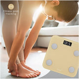 Elle Digital Body Weight Scale with BMI Analyzer, Gold, 400 lb Capacity