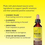 Bach, Rescue Remedy® Dropper, Stress Relief, Chocolate & Peppermint, 0.7 Fl Oz (20 Ml)