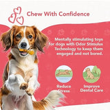 ReThink Pet Dental Munch Boomerang Bacon Flavor Scented Nylon Dog Chew Toy