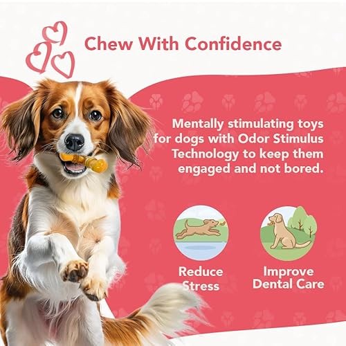 ReThink Pet Dental Munch Boomerang Bacon Flavor Scented Nylon Dog Chew Toy