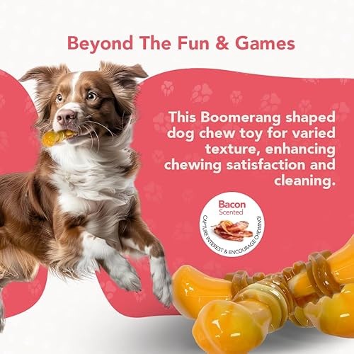 ReThink Pet Dental Munch Boomerang Bacon Flavor Scented Nylon Dog Chew Toy