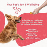 ReThink Pet Dental Munch Boomerang Bacon Flavor Scented Nylon Dog Chew Toy