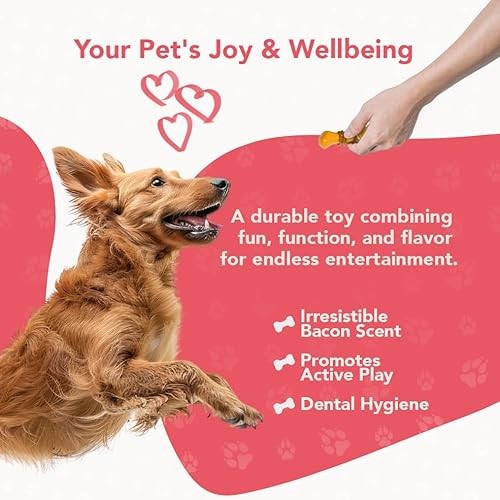 ReThink Pet Dental Munch Boomerang Bacon Flavor Scented Nylon Dog Chew Toy