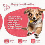 ReThink Pet Dental Munch Boomerang Bacon Flavor Scented Nylon Dog Chew Toy