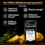 Betteralt Himalayan Pure Shilajit Gummies - 85+ Trace Minerals for Energy & Immunity Mango 60 Gummies