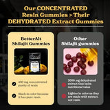 Betteralt Himalayan Pure Shilajit Gummies - 85+ Trace Minerals for Energy & Immunity Mango 60 Gummies