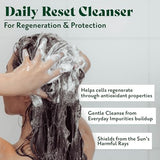 Detox Shampoo Revives, Purifies Scalp & Hair 8.8 Oz