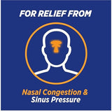 Theraflu Severe Congestion Relief Oxymetazoline Hydrochloride Nasal Mist 0.34 oz