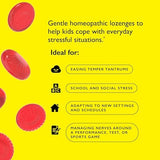 RESCUE Kids Pastilles, Natural Strawberry Flavor, Stress Relief for Children, Calming Aid, Homeopathic, Flower Essences