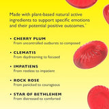 RESCUE Kids Pastilles, Natural Strawberry Flavor, Stress Relief for Children, Calming Aid, Homeopathic, Flower Essences