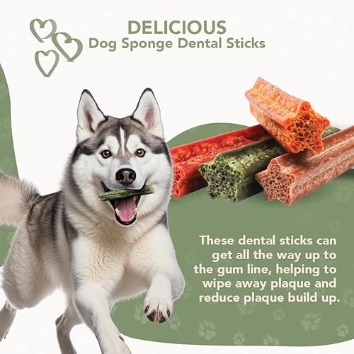 ReThink Pet Premium Sponge Dental Sticks for Dogs of All Ages, 10ct