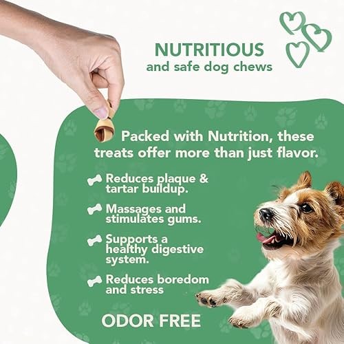 ReThink Pet Premium Dental Mix, All Natural Dog Treats with Dental Toothbrush, Honeycomb.