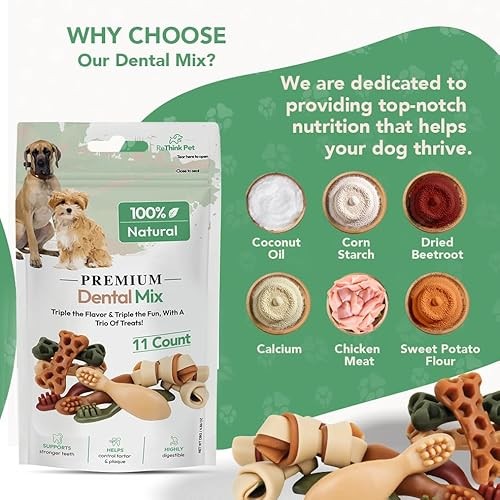 ReThink Pet Premium Dental Mix, All Natural Dog Treats with Dental Toothbrush, Honeycomb.