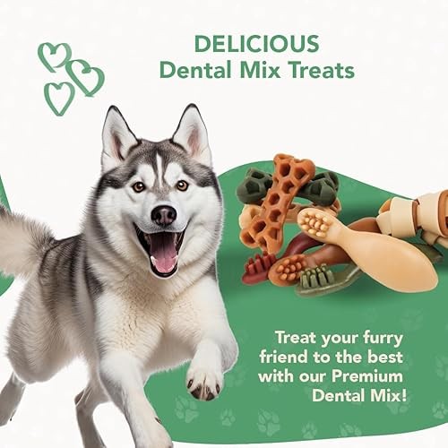 ReThink Pet Premium Dental Mix, All Natural Dog Treats with Dental Toothbrush, Honeycomb.