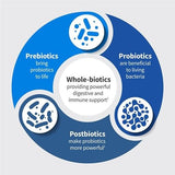 Garden of Life Dr. Formulated Microbiome Balance Probiotics 50 Billion CFU Capsules