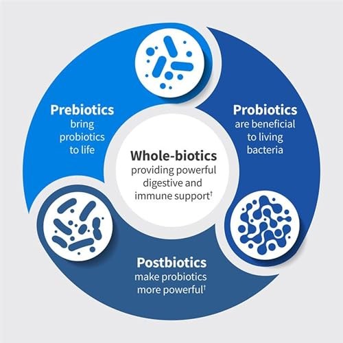 Garden of Life Dr. Formulated Microbiome Balance Probiotics 50 Billion CFU Capsules