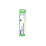 Boiron Natrum Phosphoricum 6X Homeopathic Medicine Pellets, 80 Count