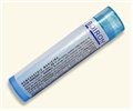 Boiron Oenanthe Crocata 30C  Homeopathic Medicine for Cough  Sore Throat.  80 Pellets