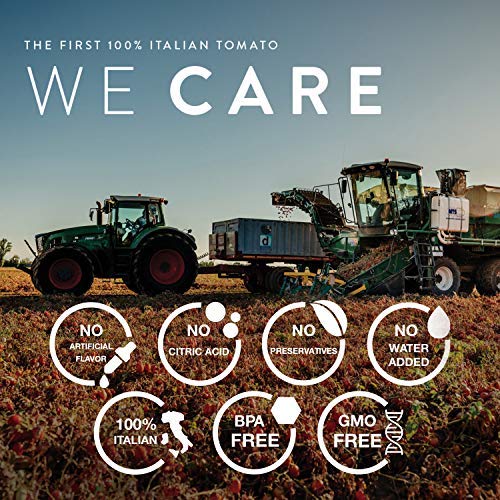 Pomi Tomato Paste Double Concentrated 4.6 Oz