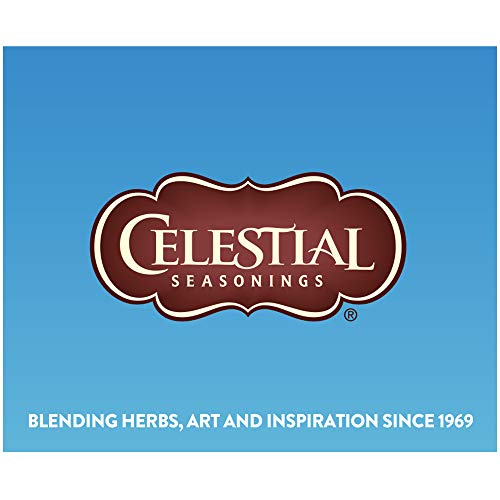 Celestial Seasonings Cold Brew Unsweetened Black Tea, 18 Tea Bags, 1.2 Oz