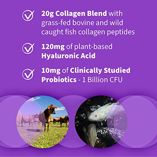 Garden of Life Grass Fed Collagen with Hyaluronic Acid, 9.52 Oz