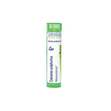 Boiron Calcarea Sulphurica 6X Homeopathic Medicine Pellets, 80 Count