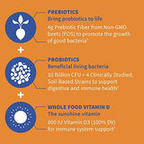 Garden of Life Dr. Formulated Probiotics Orange Dream Supplement Vitamin 10 Billion CFU 60 Gummies