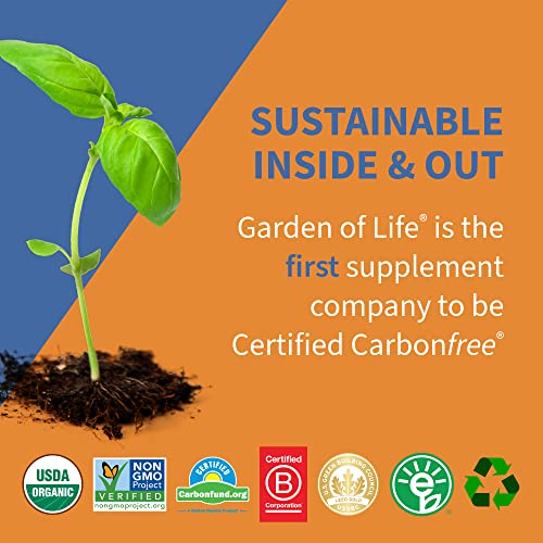 Garden of Life Dr. Formulated Probiotics Orange Dream Supplement Vitamin 10 Billion CFU 60 Gummies