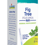 Boiron Gemmo Fig Tree Buds Herbal Supplement Liquid, 2 fl oz