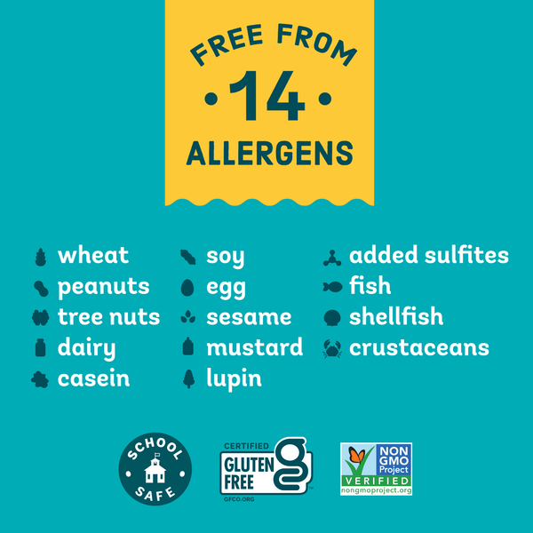 Enjoy Life Lentins Chips Garlic & Parmesan 4oz