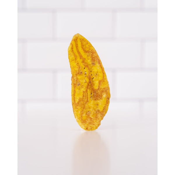 Artisan Tropic Plantain Strips Sea Salt 4.5oz