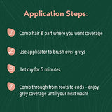 Herbatint Temporary Hair Touch-up Dark Chestnut 0.33 Oz