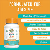 Mary Ruth's Organics Organic Kids Vitamin C Supplement
