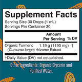 Mary Ruth's Organic Turmeric Liquid Extract Alcohol Free 1190 mg 1 Oz