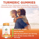 Mary Ruth's Turmeric Gummies, 120 CT