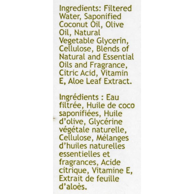 South Of France Green Tea Hand Wash 8Oz