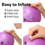 ProBody Pilates Mini Exercise Ball, 9 Inch